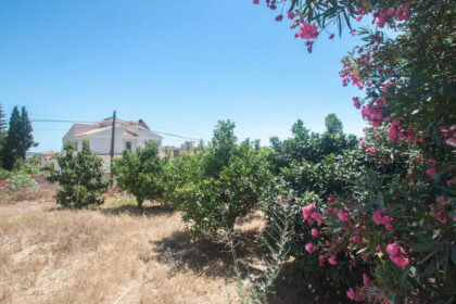 e1603dd5d5003538b02290e57640b9cf - 22