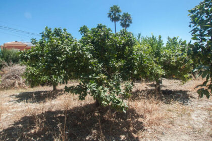 e1603dd5d5003538b02290e57640b9cf - 28