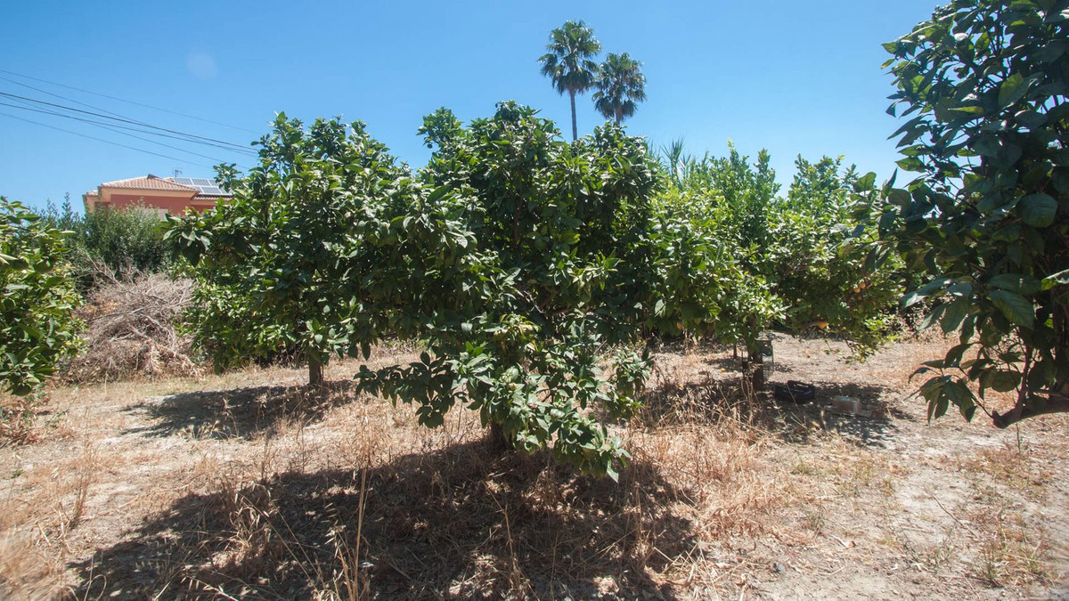 e1603dd5d5003538b02290e57640b9cf - 28