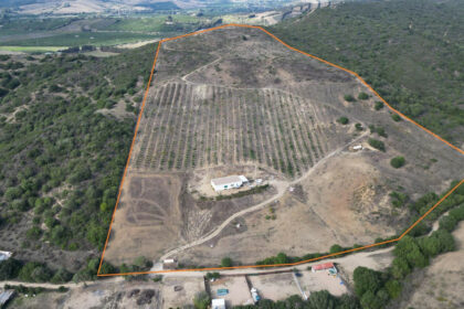 e24fb36d86e8ec74fb726241cd98b681 - 1