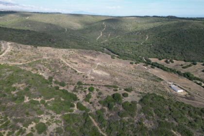 e24fb36d86e8ec74fb726241cd98b681 - 10