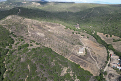 e24fb36d86e8ec74fb726241cd98b681 - 2