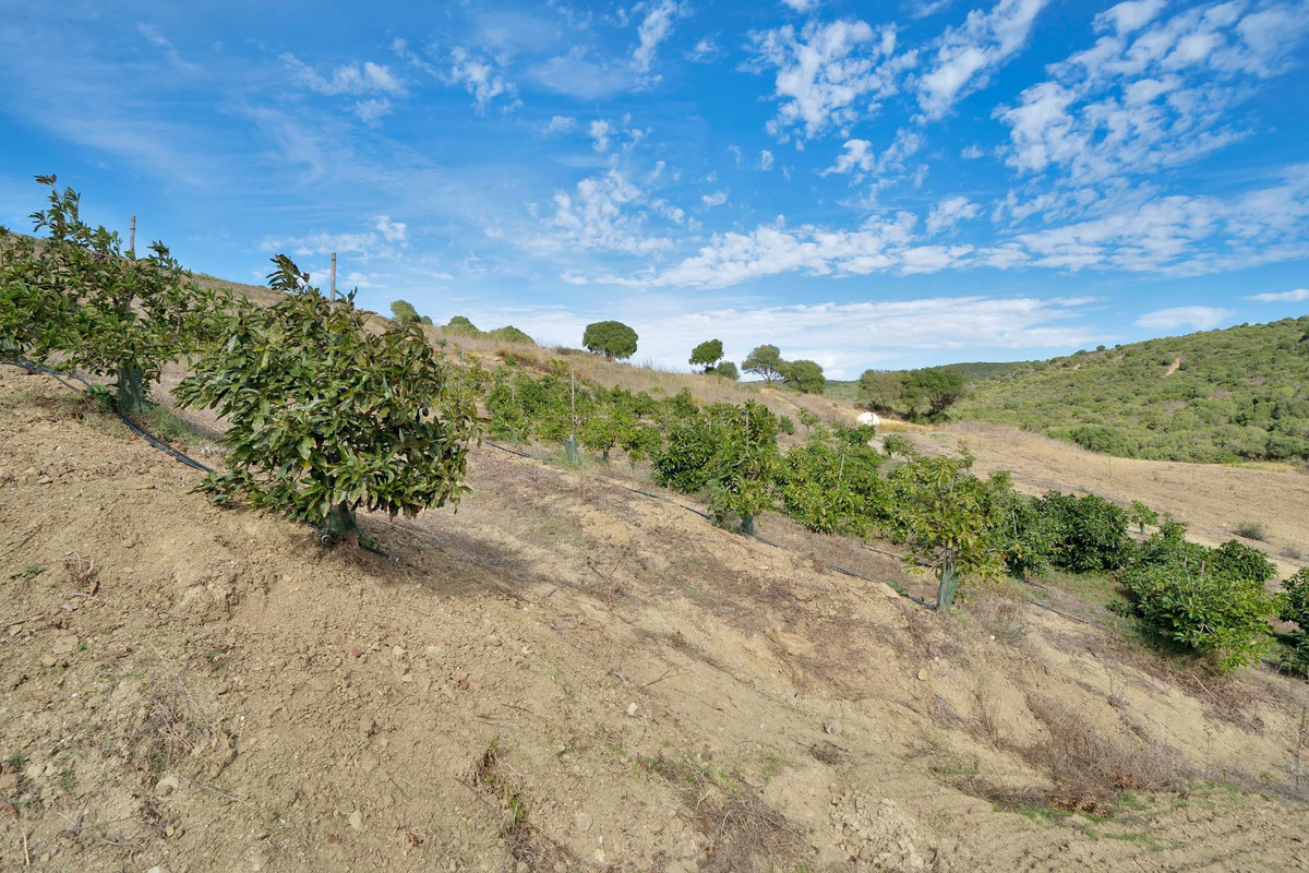 e24fb36d86e8ec74fb726241cd98b681 - 24