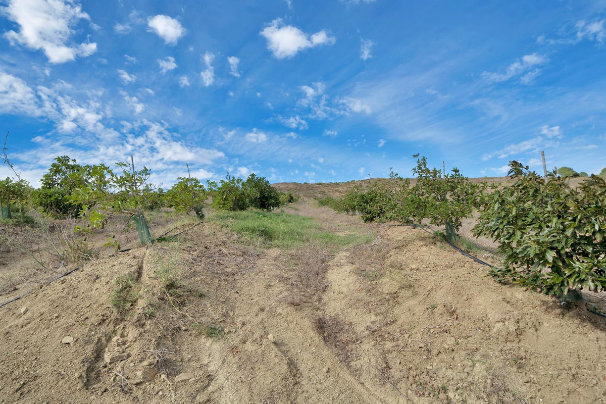 e24fb36d86e8ec74fb726241cd98b681 - 25