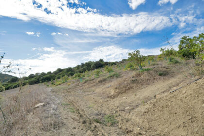 e24fb36d86e8ec74fb726241cd98b681 - 26