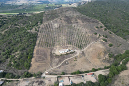 e24fb36d86e8ec74fb726241cd98b681 - 4