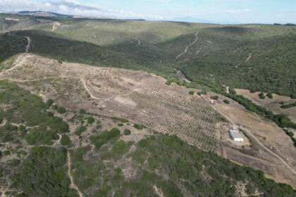 e24fb36d86e8ec74fb726241cd98b681 - 5