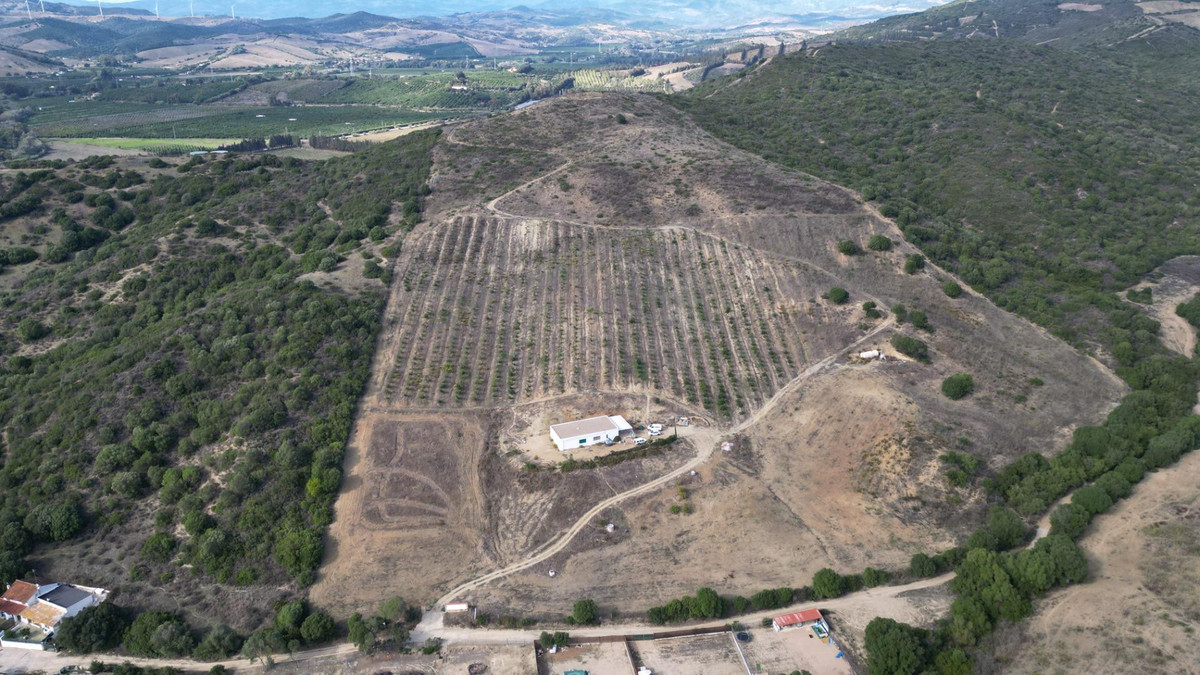 e24fb36d86e8ec74fb726241cd98b681 - 6