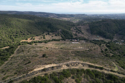 e24fb36d86e8ec74fb726241cd98b681 - 8