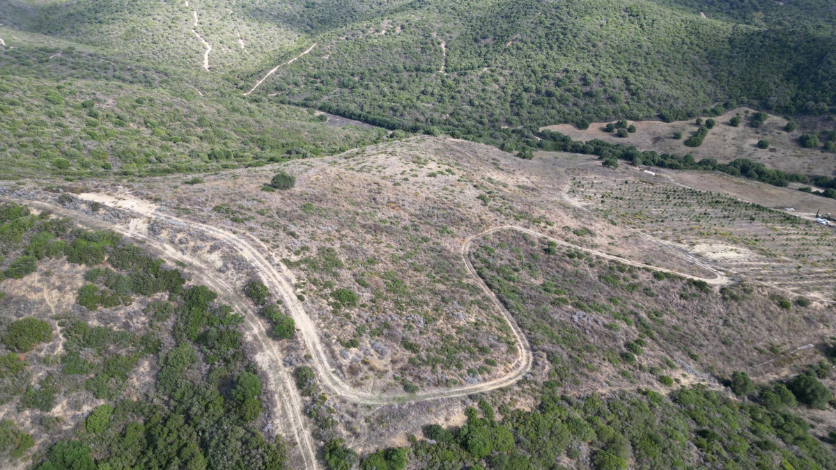 e24fb36d86e8ec74fb726241cd98b681 - 9