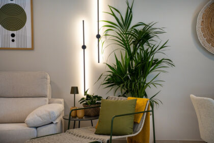 e29c31a728a98a697a42c5f6c6b0d3e8 - 11