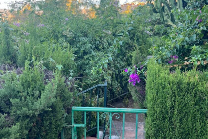 e2e1bf3779b6bb588469bc047d82b1d7 - 17