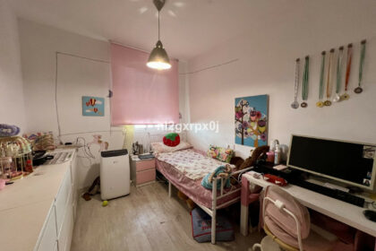 ed0fcc38184a95c76f2d1ade0247774a - 11