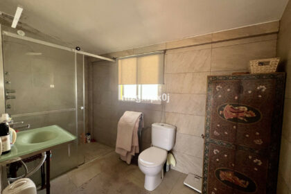 ed0fcc38184a95c76f2d1ade0247774a - 14