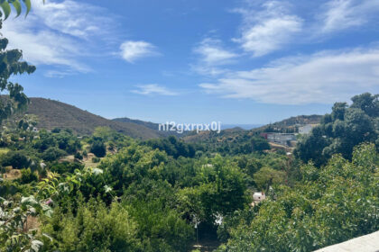 ed0fcc38184a95c76f2d1ade0247774a - 24