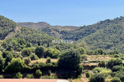 ed0fcc38184a95c76f2d1ade0247774a - 3