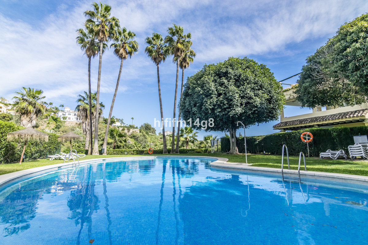 ed3f1373247d151727bece41143657c3 - 20