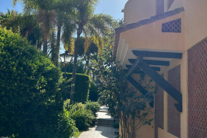 ede1a7873817b3f638230ab213ecb95a - 21