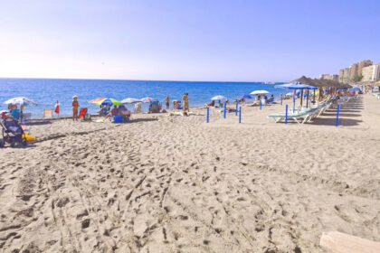 ee719f33c6e6f928d2ed4b0c2dc4166e - 24