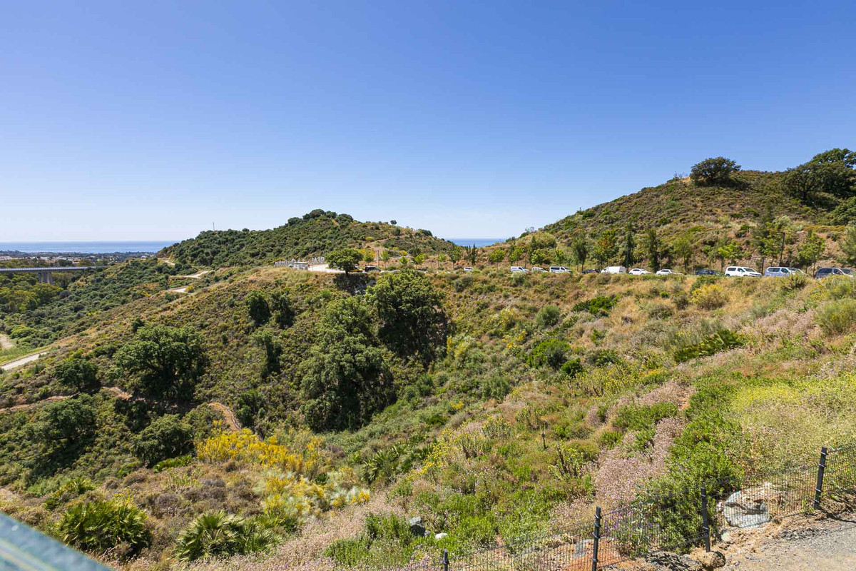 ef4e8d3292d5e150da45b20803f5f4a8 - 38