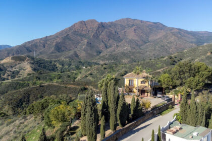 f0bd7cc84bd82cf388b17e68b8574f8a - 53