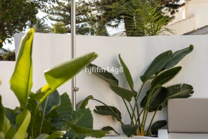 f11e1bfdc6731a81c909f0f4ec7cc8b3 - 33