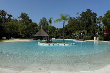 f1f51b4cf16615916cf01590de985d25 - 12