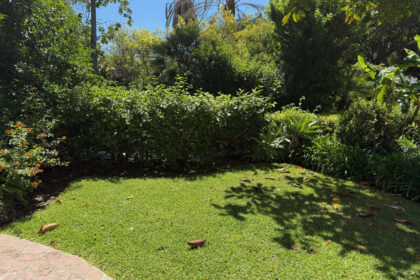 f1f51b4cf16615916cf01590de985d25 - 13