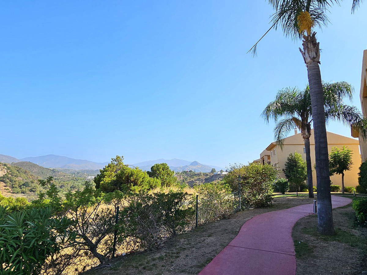 f656241e513a2f76dd2fa6b0ef4515ef - 25