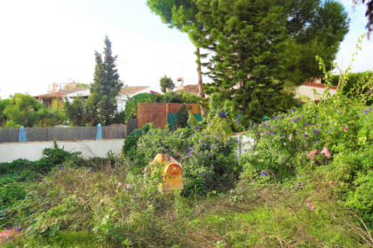 f65775aedcd6e3c35240ea3a887a327e - 19