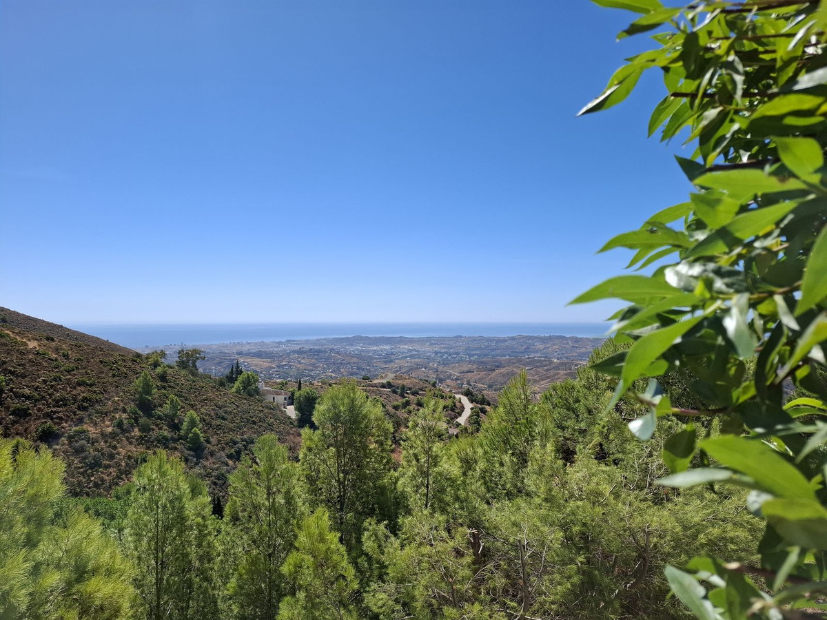 f73b2bcf12673326f8ec58b1a93bd3e1 - 4