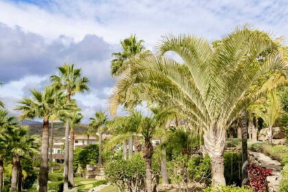 f98607c724bee7b507fafb42ecb4a6ef - 16