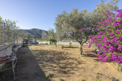 fa65e695a9bc8330bb9fbf4315813d08 - 66