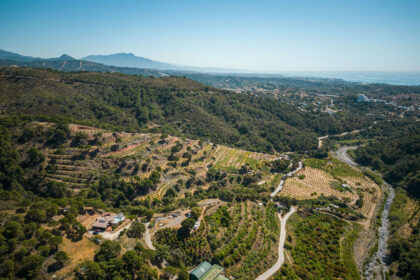 fbddd3122aea9472265ffd9a4f35ed75 - 38