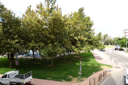 fd1671fc718222593f1cd684cd8cfb9c - 13