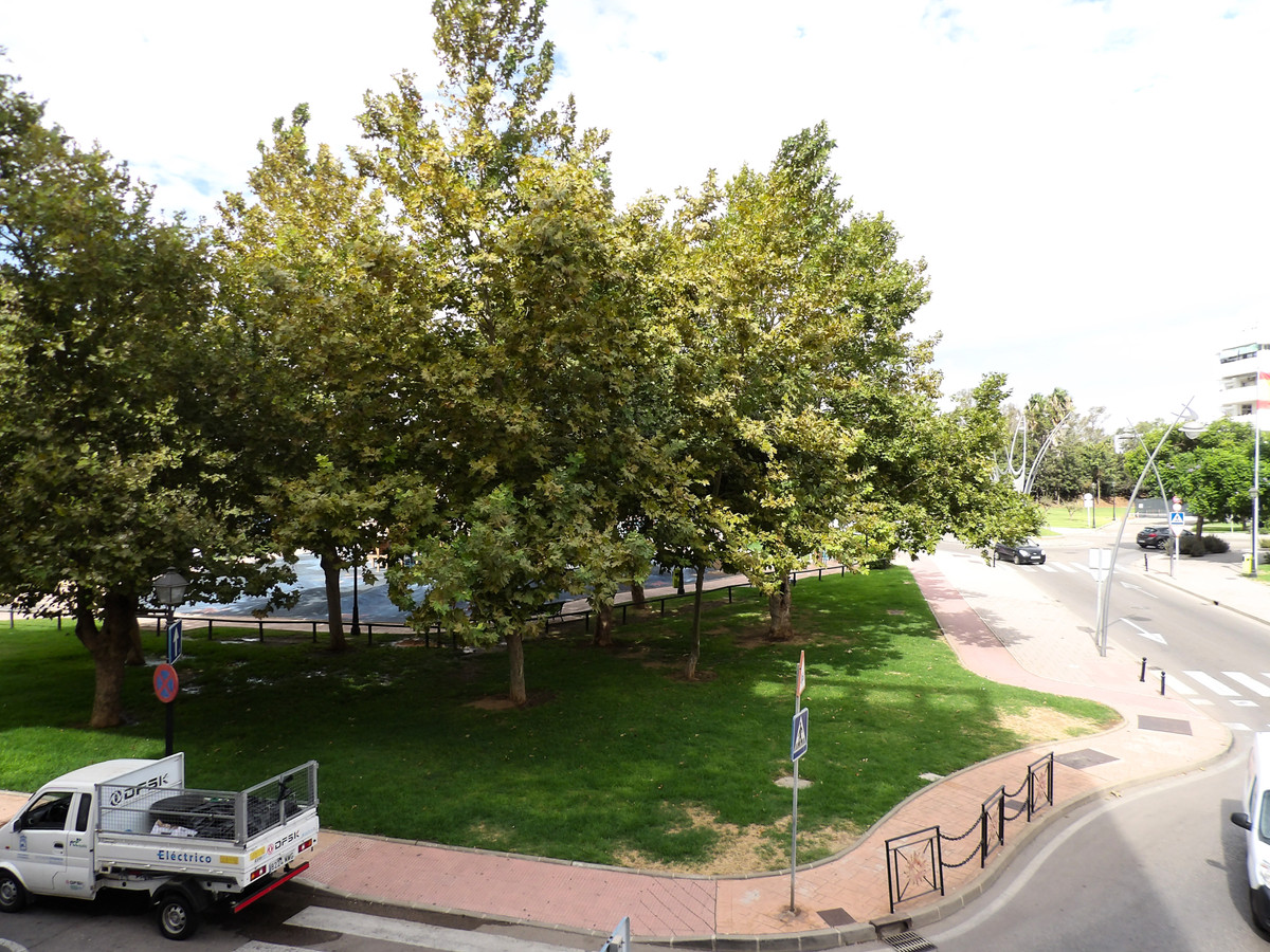 fd1671fc718222593f1cd684cd8cfb9c - 13