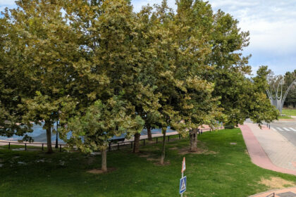 fd1671fc718222593f1cd684cd8cfb9c - 14