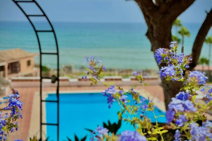 fe2e69ed9b1d7a2462b4c9cc13554d30 - 1