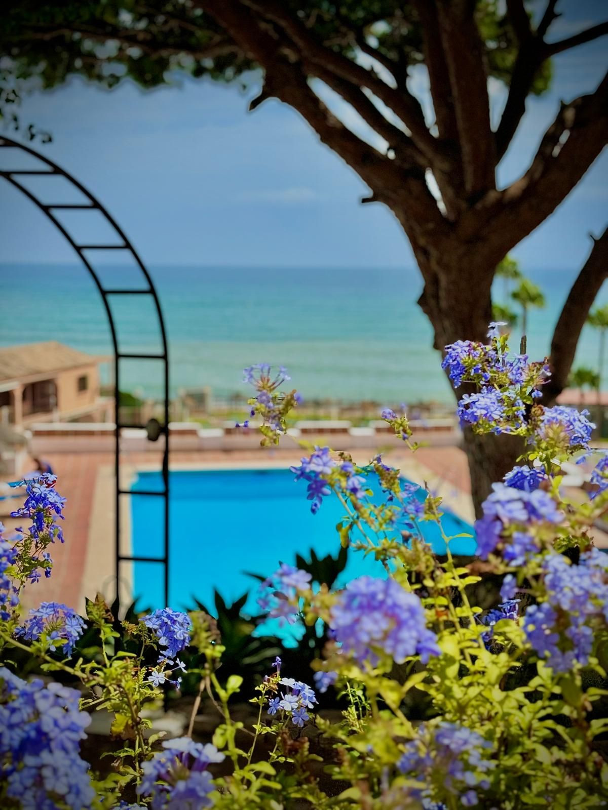 fe2e69ed9b1d7a2462b4c9cc13554d30 - 1