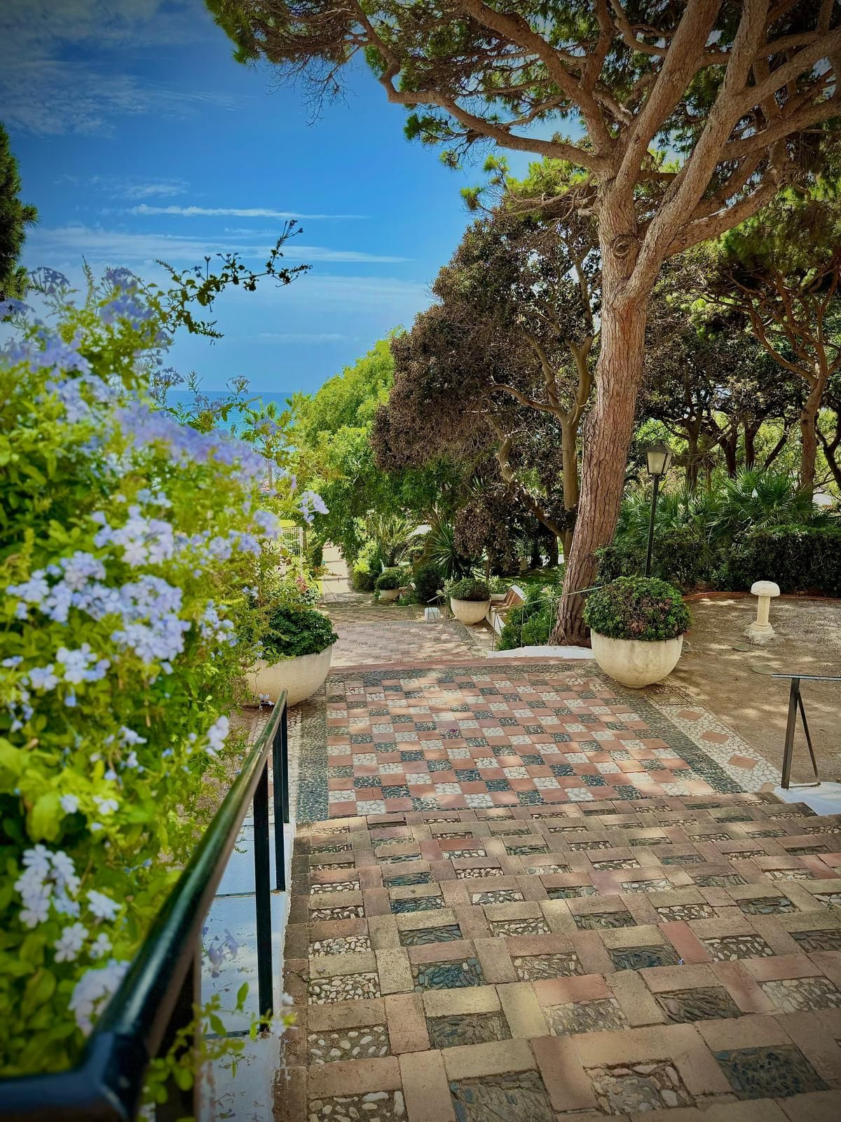 fe2e69ed9b1d7a2462b4c9cc13554d30 - 44