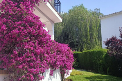 fe90b15d01db8be75dc9b680809ad135 - 21