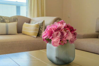 fea9dce9b2794d81e3b76fb77df34b5b - 30