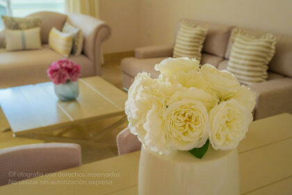 fea9dce9b2794d81e3b76fb77df34b5b - 32