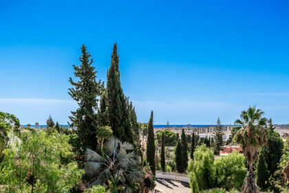 feaafdde6bbda4c9d5e157b4a4ff580a - 23