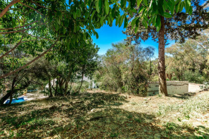 feaafdde6bbda4c9d5e157b4a4ff580a - 45