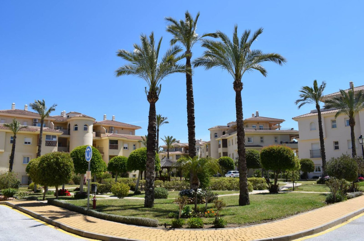 ff03a90382b3c0b4ac366d897058c3bc - 16