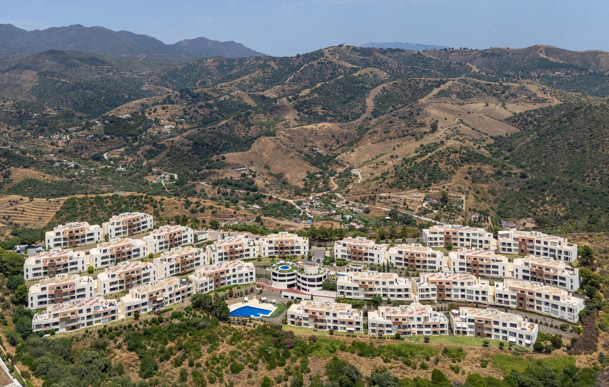 01e415fb345af89dfbcd695cfb69dc40 - 24