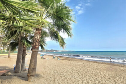 0276bf896377a756b04f2a83798619b0 - 50