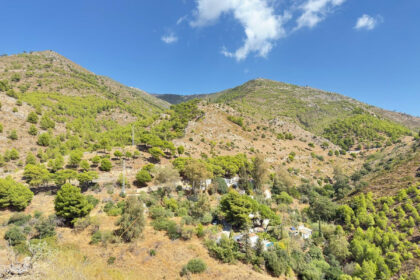 085b04909253f765f5b6b3993fc8606e - 14