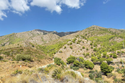 085b04909253f765f5b6b3993fc8606e - 15